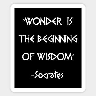 Wonder Is Wisdom Sticker